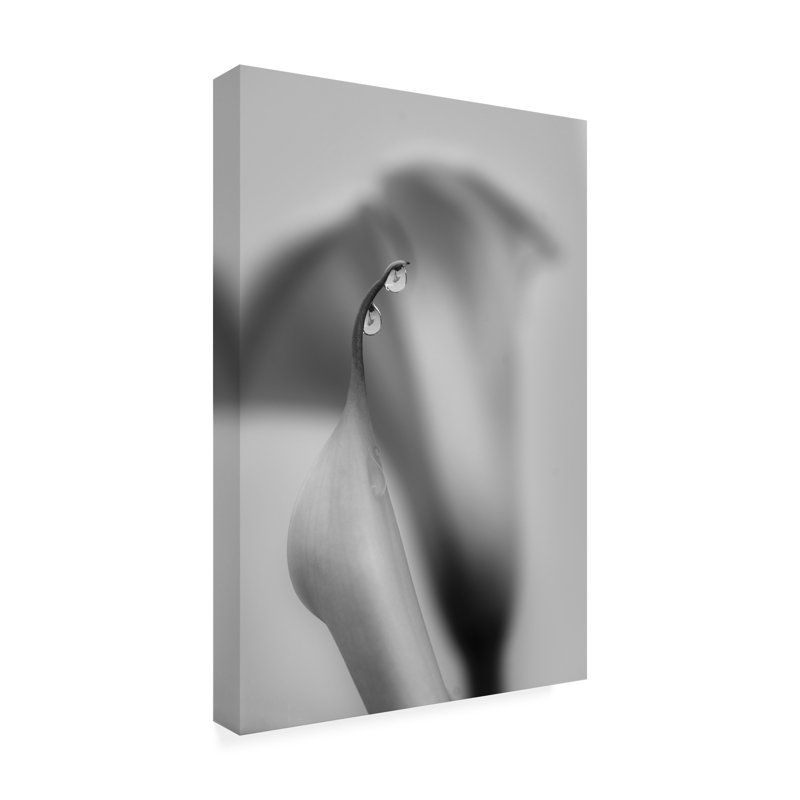 Modern & Contemporary, 47" H x 30" W x 2" D