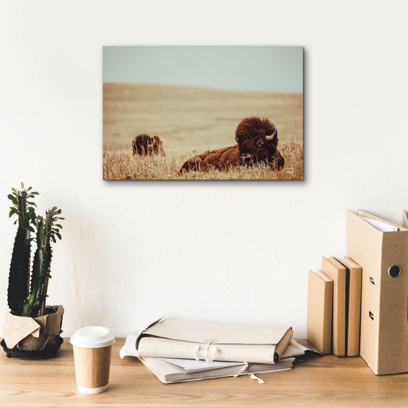 «Tall Grass Bison» par Nathan Larson, art mural sur toile, H 12 po x l 18 po