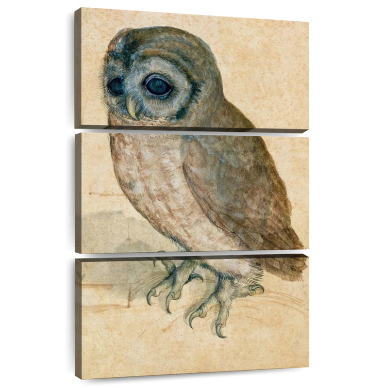 Brampt The Little Owl, 32" H x 20" W