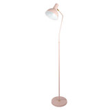 Jerrilee 65'' Pink Swing Arm Floor Lamp