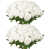 White is out of stock selected