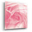 «Georgia Pink» par Keri Bevan-1613435566