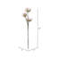 Vaporisateur d’aloès artificiel