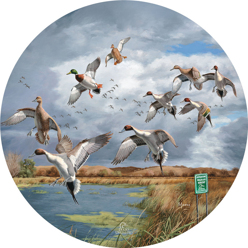 Fruits de votre labeur - Canard pilet - Canard colvert, panneau rond de 53 cm