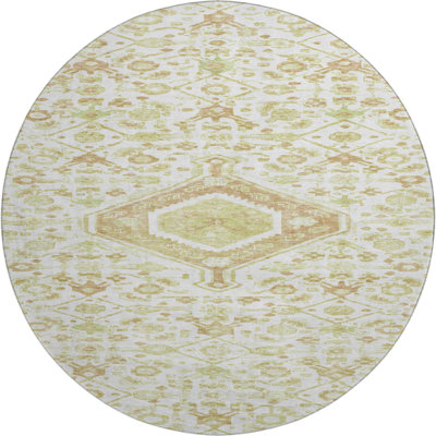 Premium Machine Washable Barry AMF1225 Medallion Rug