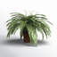 23'' Faux Fern Plant in Wicker/Rattan Pot
