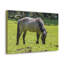 No Frame Print on Canvas