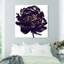 Pivoine noire - Impression sur toile-80844207-80844223