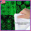 Édredon vert patchwork floral-127458582