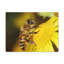No Frame Print on Canvas-1957141311