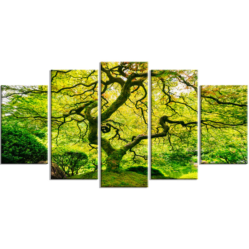 « incroyable green tree », ensemble de 5 reproductions de photos sur toiles tendues