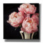  «Coral Peony 6» par Debra Van Swearingen, art mural sur toile, 26 po x 26 po-1720950814