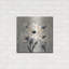 "Graphic Floral II" par Silvia Vassileva-1600935976