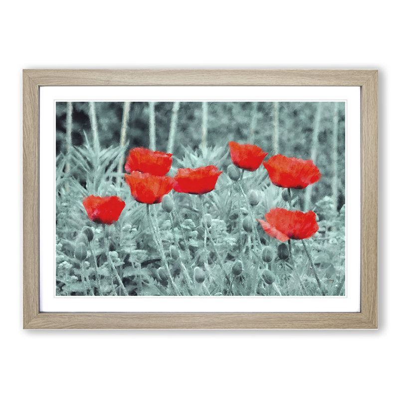 Field of Poppies Vol.4 - Framed Print, Oak Framed, 48cm H x 65cm W x 2cm D