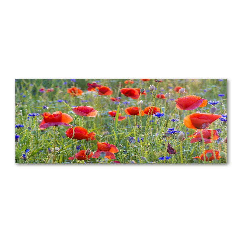 Field Flowers 1 Piece Wall Art on Canvas