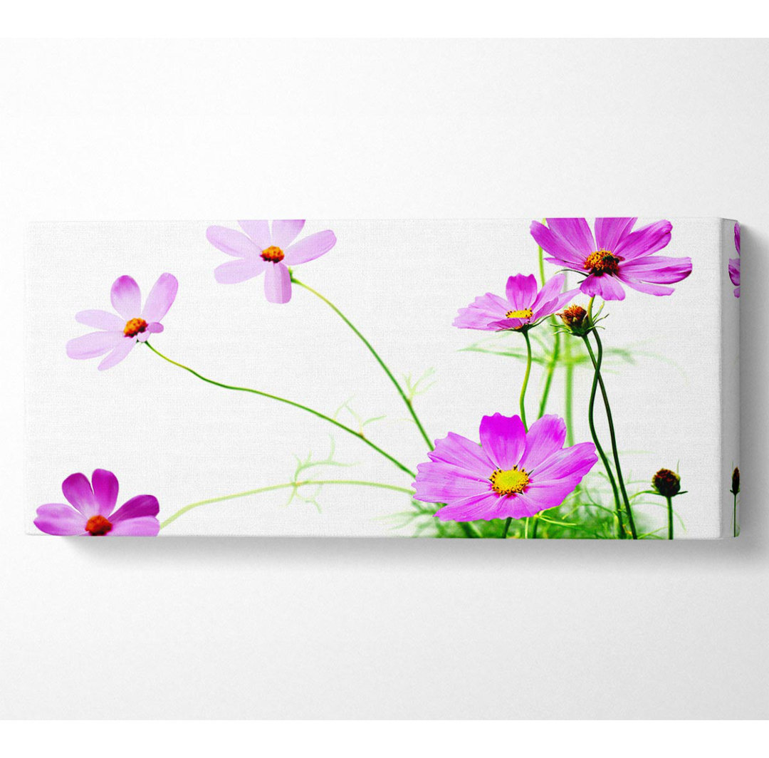 Pink Daisy Bloom - Kunstdrucke auf Leinwand