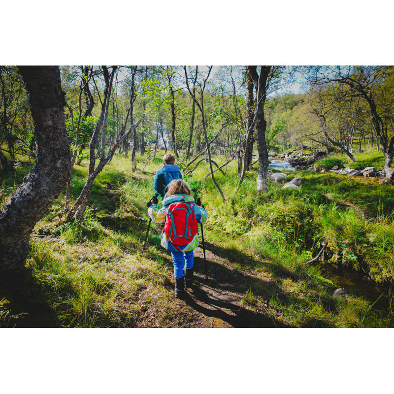 Petit garçon et une fille qui font de la randonnée dans la nature, L 12 po x H 8 po