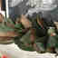 Customer photo 2 of 2