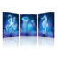 3 Piece Wrapped Canvas Wall Art