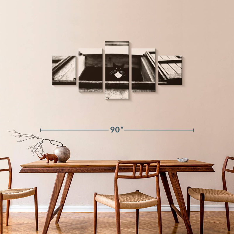 Dali The Cat Photography, 34" H x 74" W