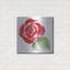 Art mural en métal «Bold Roses 3» par Kristy riz-980638137