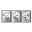Étude florale CXLVI -Set de 3 estampes giclées encadrées -Prêt à-652607383-652607384