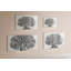 Magnetic Glass Dry Erase Board