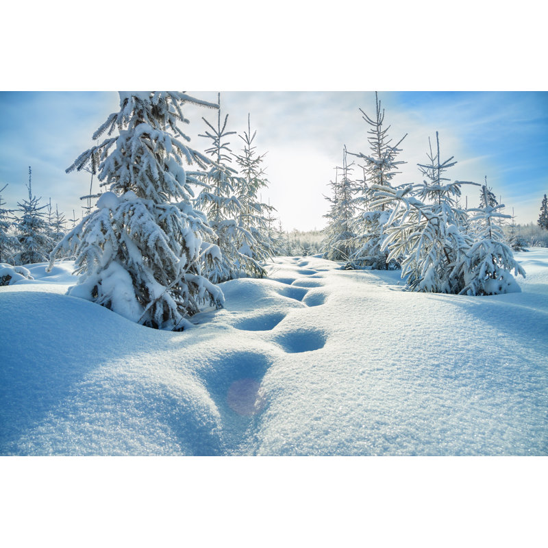Winter Landscape - Wrapped Canvas Print, 30cm H x 46cm W x 3.8cm D