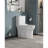White Ceramic 1.1/1.6 Toilet, Elongated, Comfortable Height, & Approved One , White, Fashion