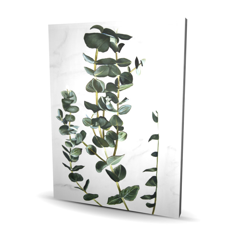 Tiges d'eucalyptus - Toile de chambre Hygge pour un décor douillet