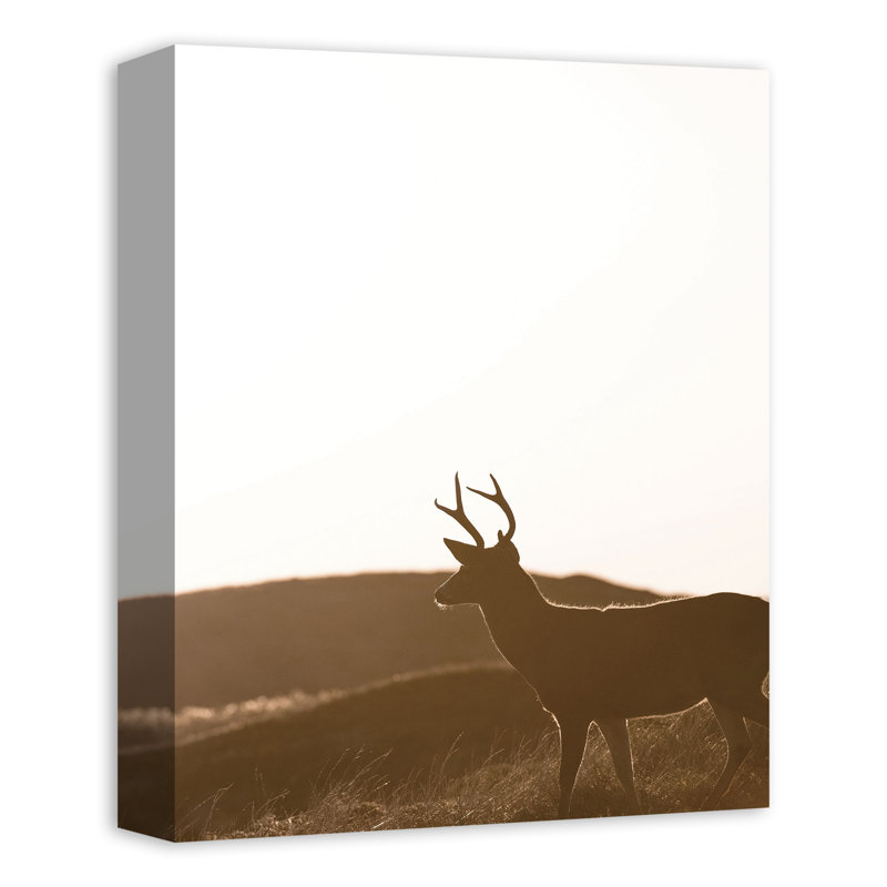 Morning Deer - imprimé, H 14 po x l 11 po x P 1,25 po, Toile tendue