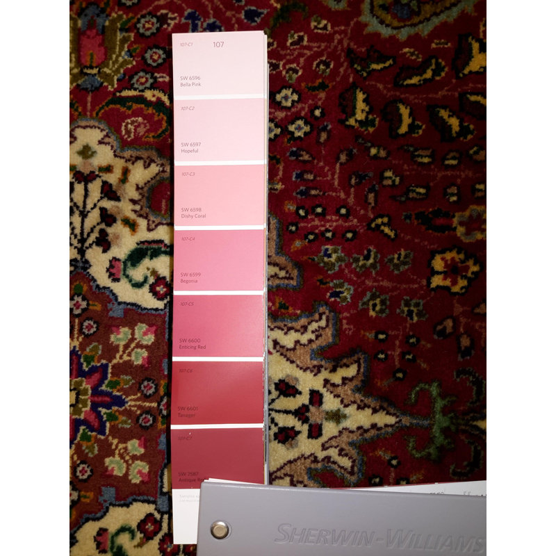 Pirley Oriental Area Rug in Red