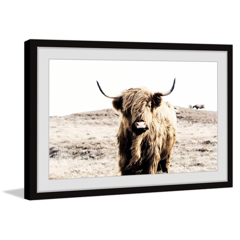Cattle On A Hill - Single Picture Frame Print, 61cm H x 61cm W x 3.81cm D