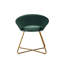 Colmar Velvet Accent Chair with Metal Legs-221319908