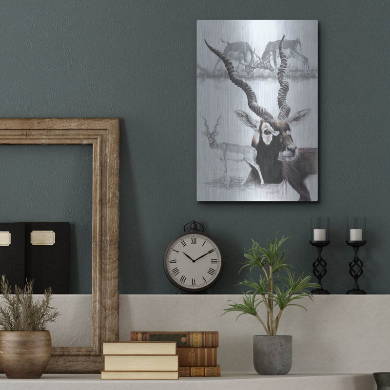 «Black Buck» par Barbara Keith, H 16 po x l 12 po