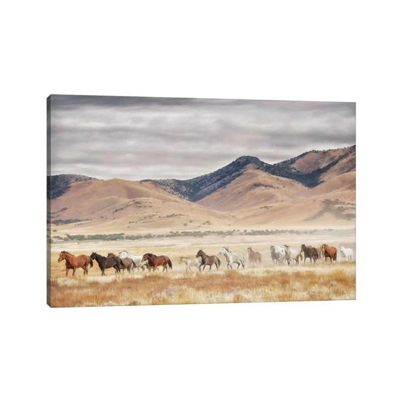 Horse Run II 1 Piece Wrapped Canvas Wall Art, 20.32 cm H x 30.48 cm W