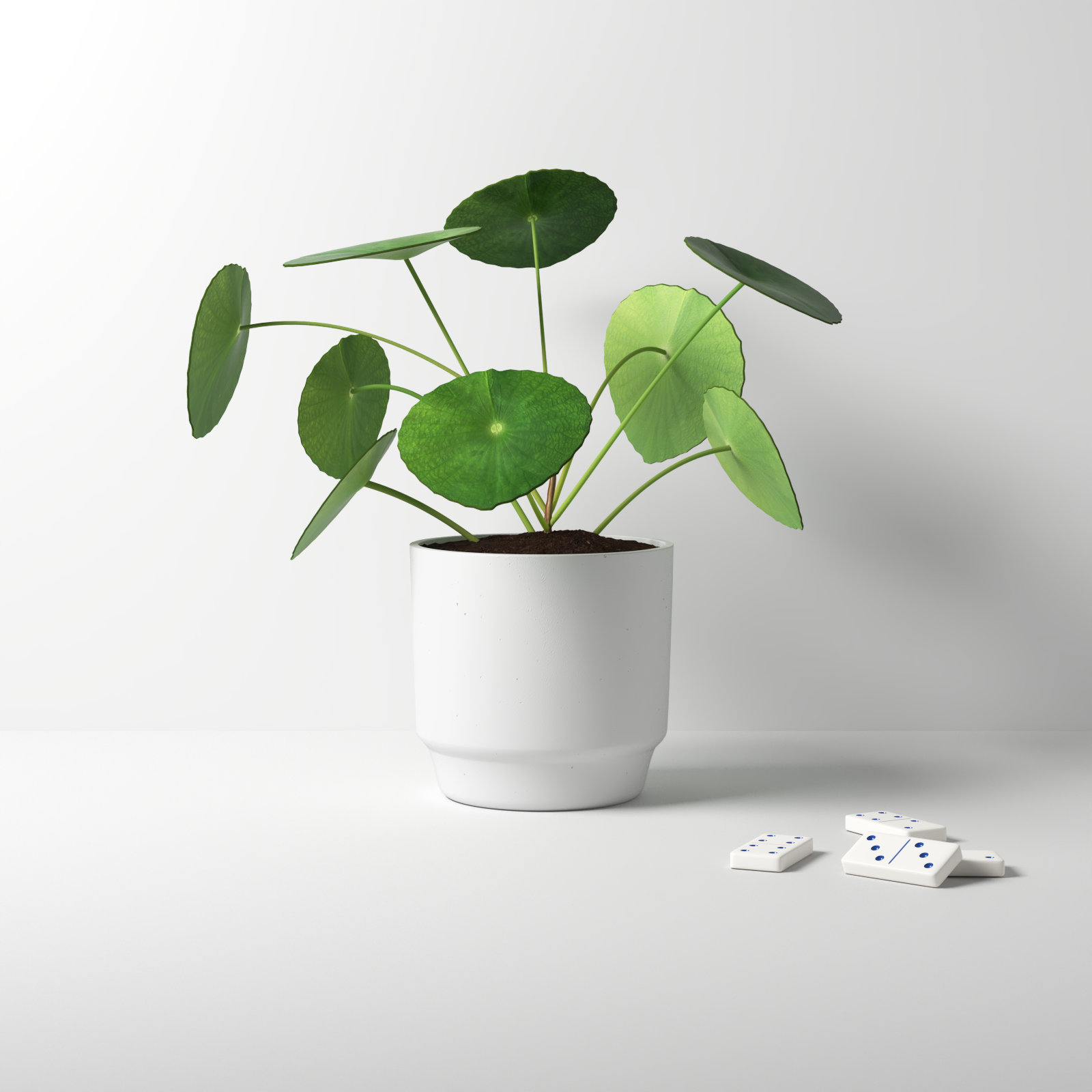 Edda Pot Planter, 5" H x 6" W x 6" D