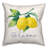 Throw Pillow-565830285