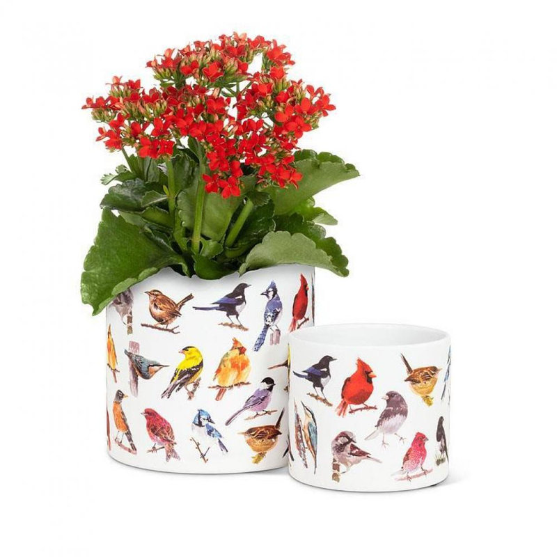 Cache-pot en céramique Briawna, H 6 po x l 6,5 po x P 6,5 po