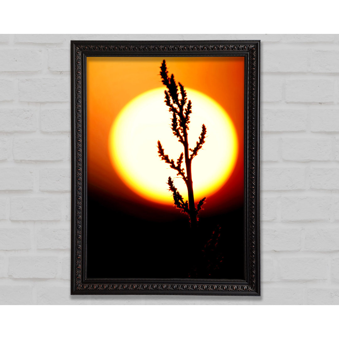 Stunning Sun Glow Orange - Einzelne Bilderrahmen Kunstdrucke