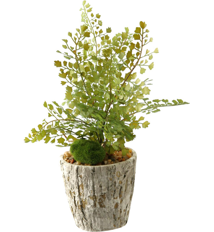 Plante de bureau en fer plat en pot de fleurs