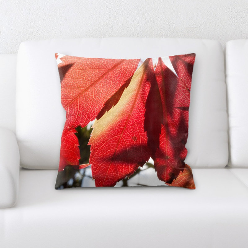 Coussin d’automne