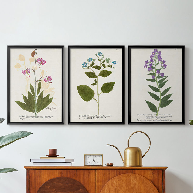 Nature imprimé Botanicals V - Toile tendue avec châssis sur mesure - 3 pièces, Noir, H 30 po x l 63 po