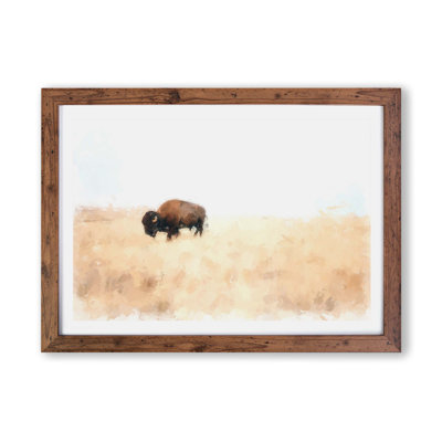 Wandering Bison - Framed Print
