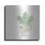 Gracie Oaks «Succulent II» par Chris Paschke-1693045329