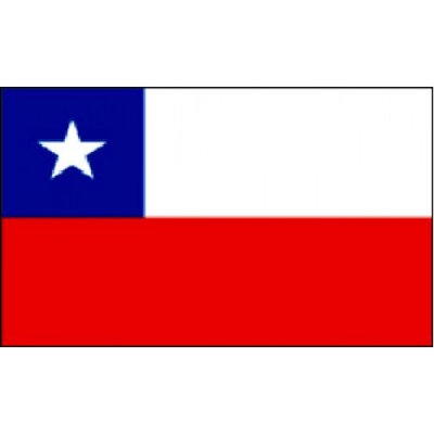 Double Sided 36'' H x 60'' W Polyester House Flag