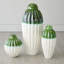 Fluted Handcrafted Jar-655070339-657905381