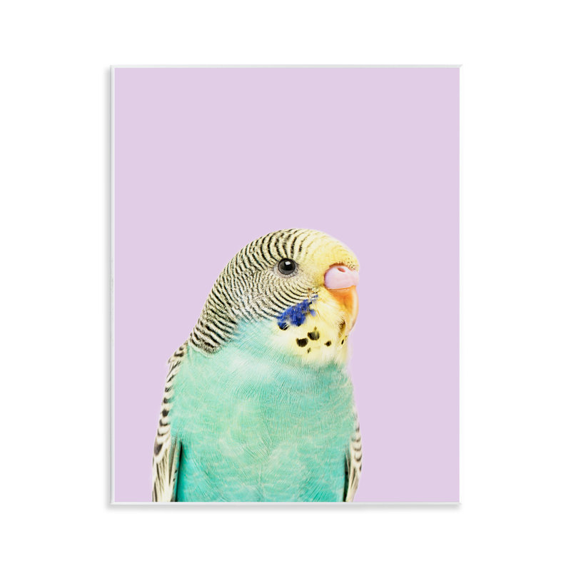 «Pastel Budgie Bird» par Sissi et Seb