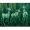 Verdant Echoes