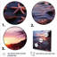 Étoile de mer sur la plage, photo 2 - art mural plage-359710290-413973833